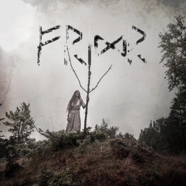 Friðr album cover