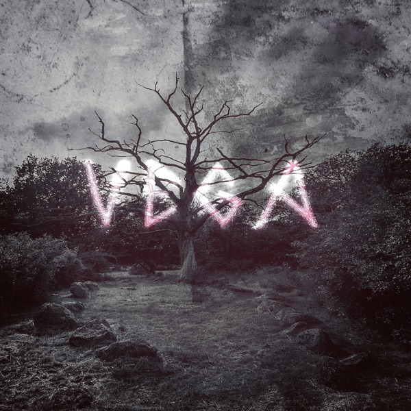 Vega album cover