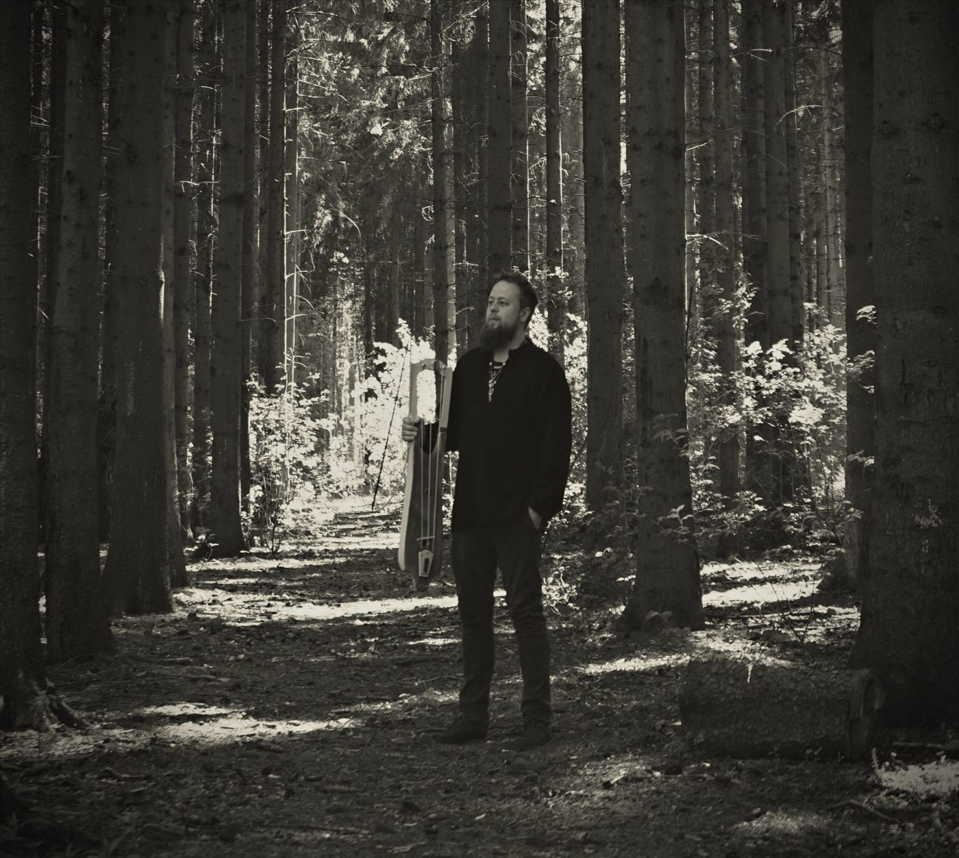 Danheim in the forest